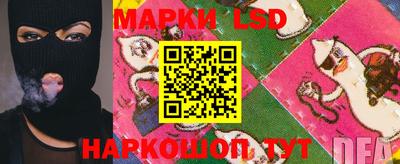 a pvp Новодвинск