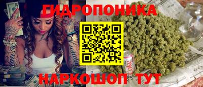 соль ск Новозыбков