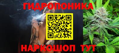 соль ск Новозыбков