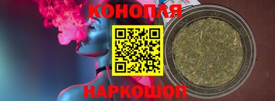 a pvp Новодвинск