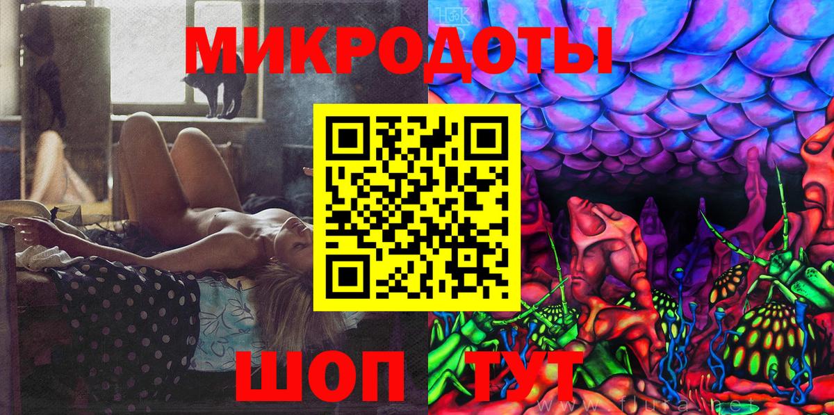 Псилоцибиновые грибы Psilocybe Бутурлиновка