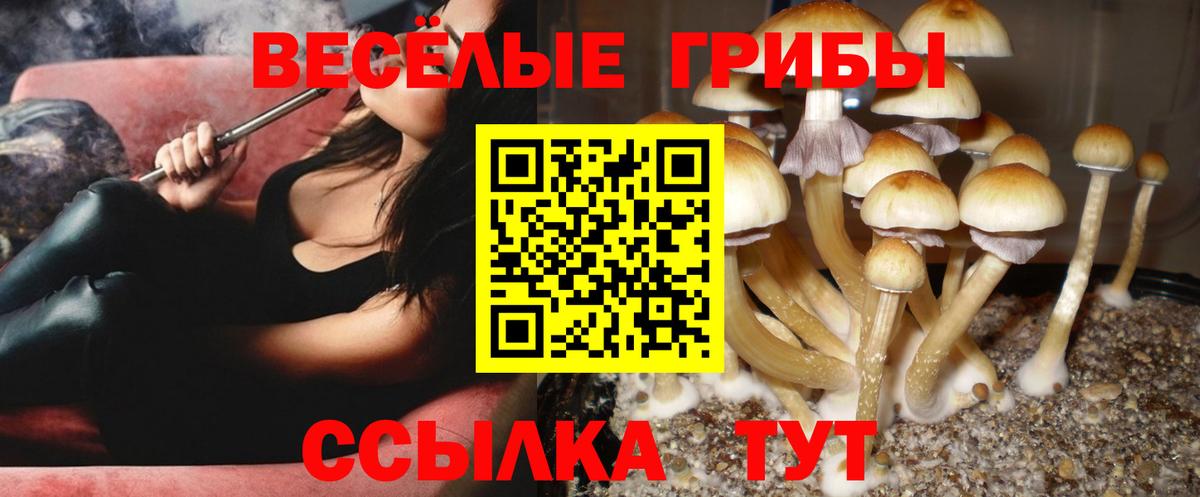 Псилоцибиновые грибы мицелий  Вход с VPN  Бутурлиновка  Галлюциногенные грибы прущие грибы 