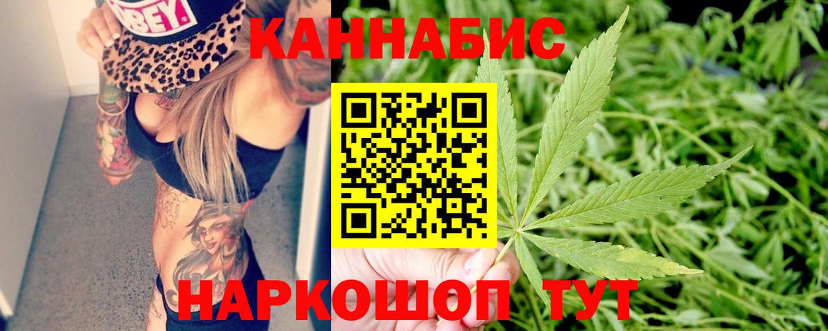 Бошки Шишки AK-47  Шишки марихуана план  Бошки Шишки сатива  Вход с VPN  Бутурлиновка 